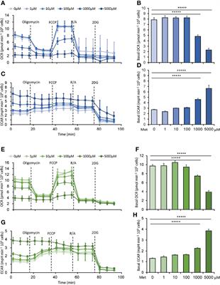 Nutrient Condition in the Microenvironment Determines Essential Metabolisms of CD8+ T Cells for Enhanced IFNγ Production by Metformin